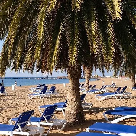 Sunnyland Atico Adelfas *